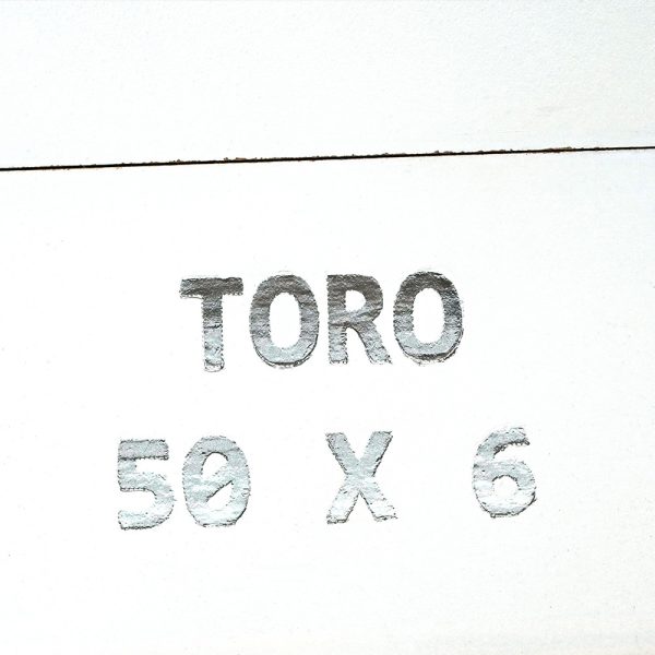 Connecticut Toro 康涅狄格州 托羅 - Image 2