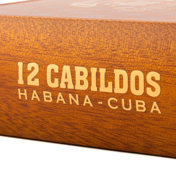 Cabildos 2024LE 特立尼達 卡比爾多斯 - Image 3