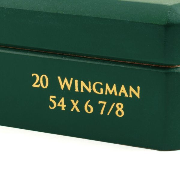 Allegiance Wingman 忠誠 戰友 - Image 5