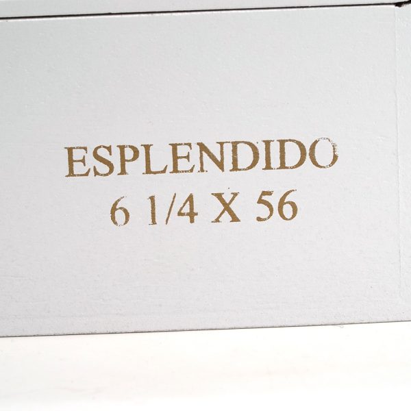 El Jornalero Esplendido 勞動者 導師 - Image 2