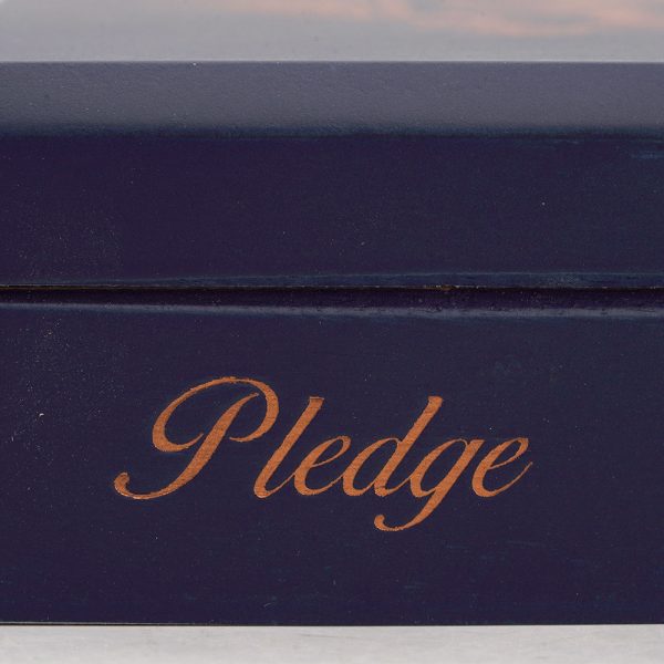 Pledge Prequel 誓言 前傳 - Image 4