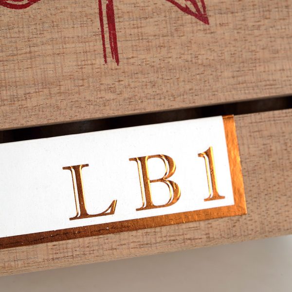 LB1 Toro LB1 托羅 - Image 2