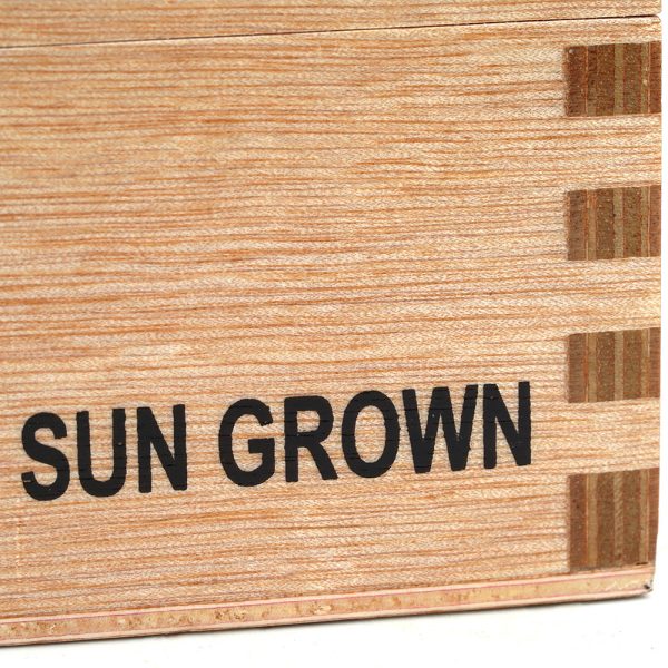 Lot 23 Sun Grown Belicoso 地段23 日曬比利高 - Image 2