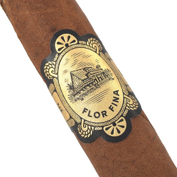 Chinchalle Robusto 欽查爾 羅伯圖 - Image 9