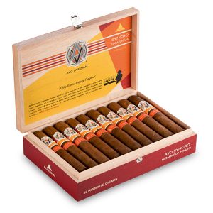 Syncro Fogata Robusto 尼加拉瓜篝火羅伯圖