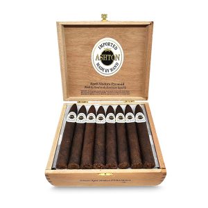 Aged Maduro Pyramid 陳年馬杜羅金字塔