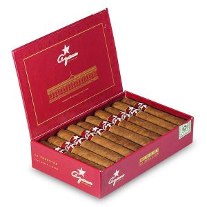 Robusto 羅伯圖