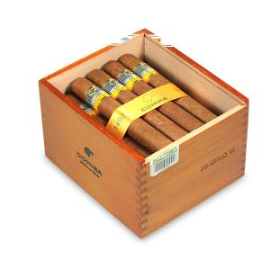 Siglo VI 世紀六號