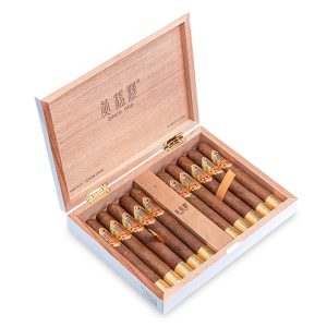 1916 Robusto Extra 1916 國際版大羅伯圖