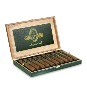 Andalusian Bull 安達盧西亞公牛