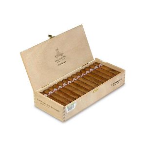 Petit Edmundo 小艾蒙多